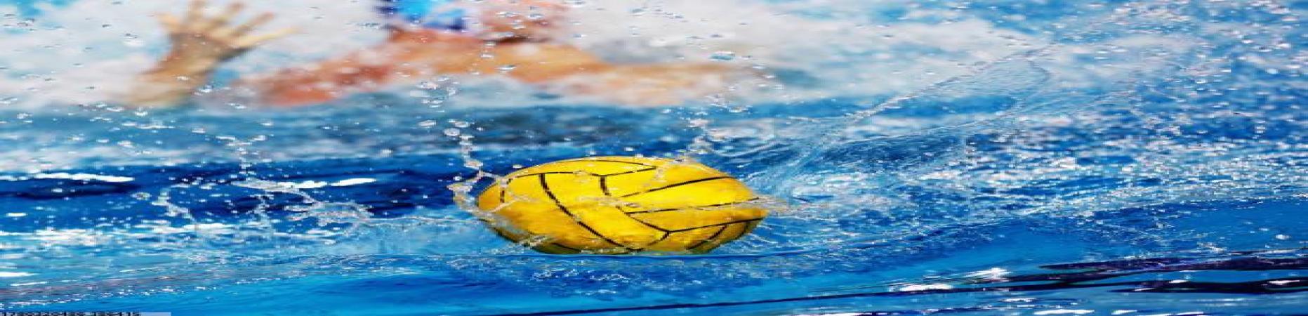 世界杯赛事购球平台个人化运动健身计划